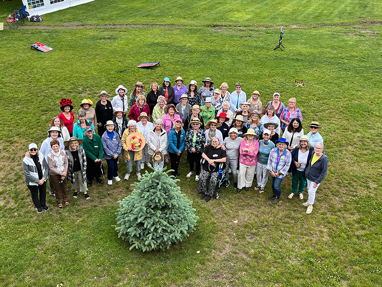 Large group around a tree from sky view